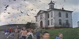 birds3