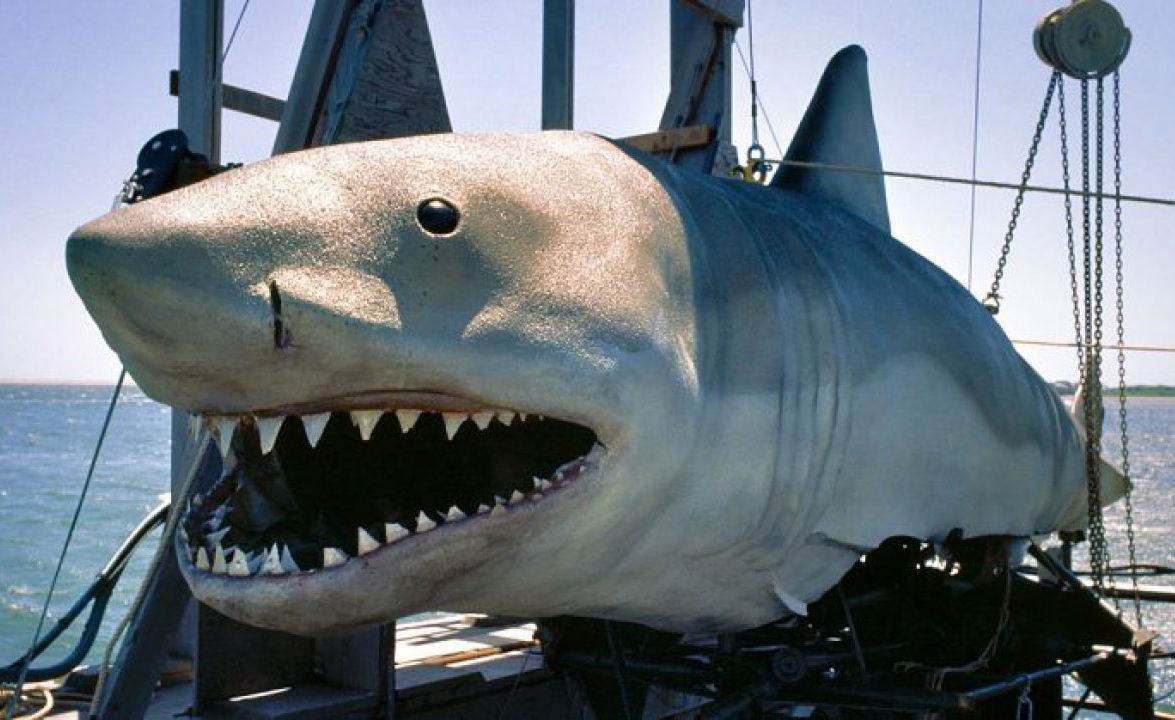 Feature How the 'Jaws' Sequels Stand up to the Original The Movie Buff
