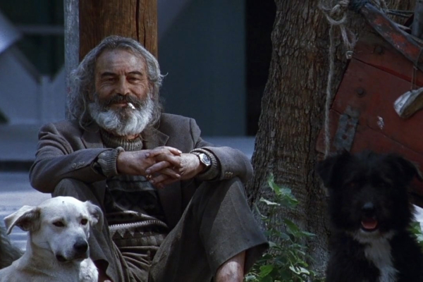 REVIEW - 'Amores Perros' (2000) | The Movie Buff