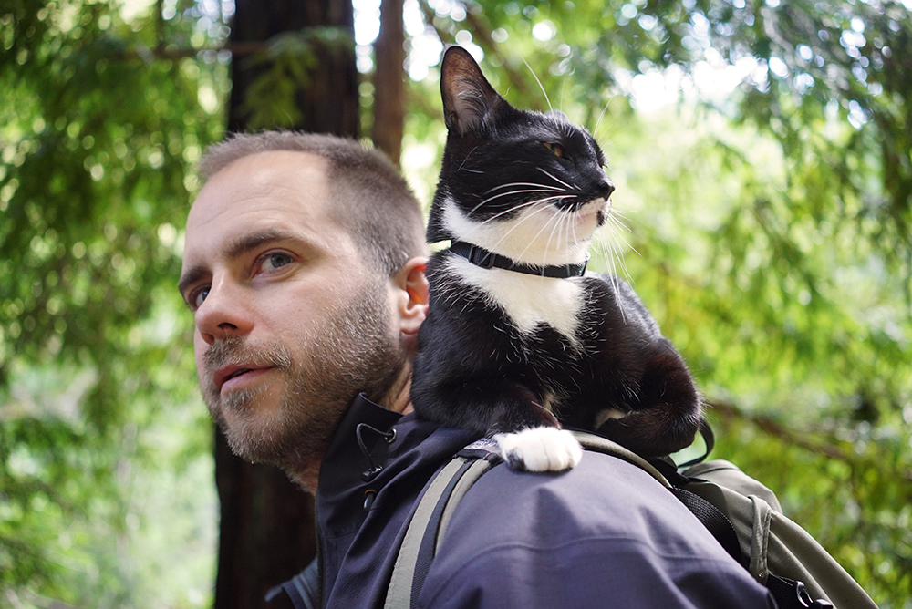 Cat Daddies