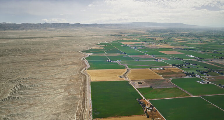 The American Southwest