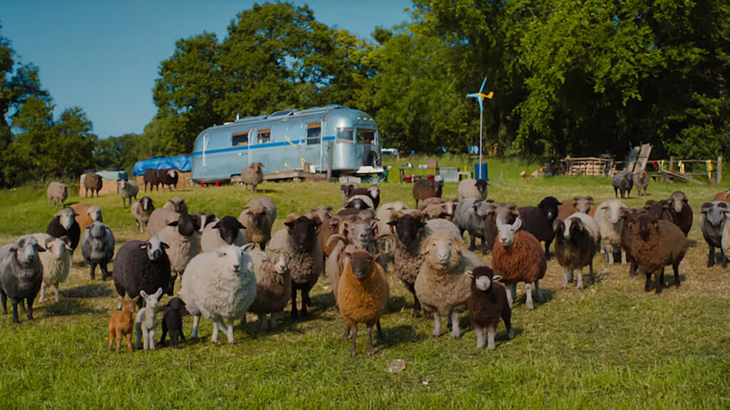 The Sheep Detectives 