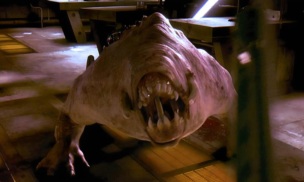 Another Look at ‘Doom’ (2005)âStill Flawed, but Not the Total Misfire I Initially Thought Doom