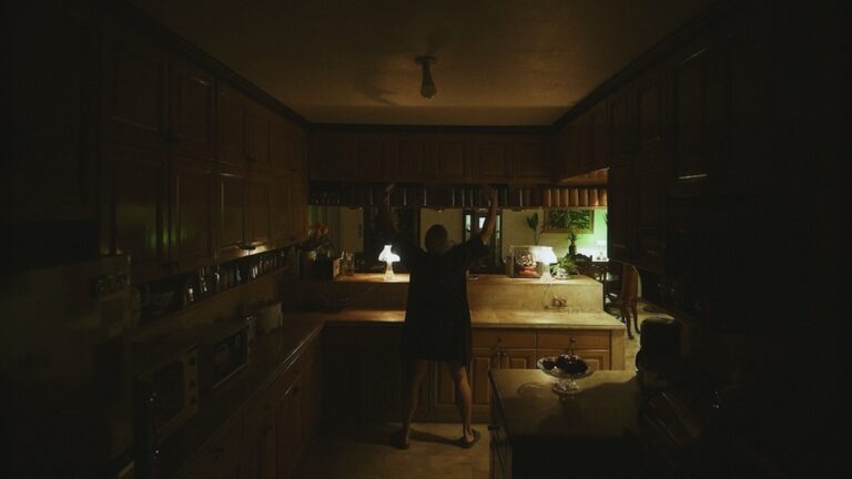 A scene from Dustin Celestino's "A.ni.mál."