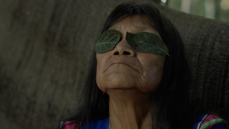 TIFF 2026: ‘The Hummingbird Paints Fragrant Songs’ Finds the Person Behind the Art Sara Flores with leaves covering her eyes.